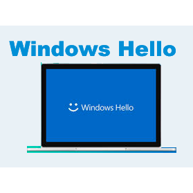 Comparison: SecVSC vs. Windows Hello